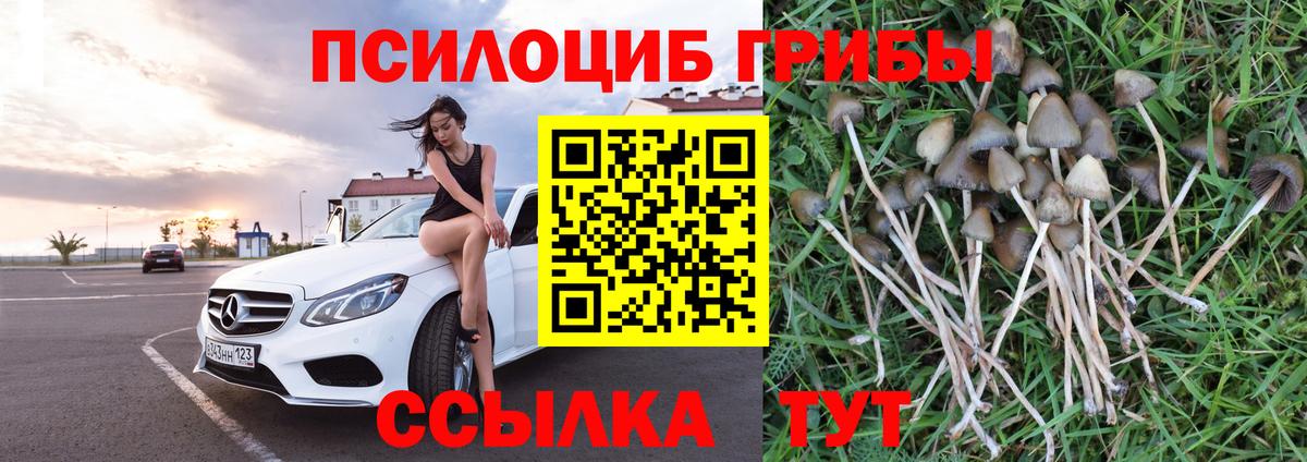 Псилоцибиновые грибы ЛСД Гуково
